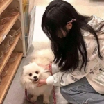 灵魂战士官方版下载